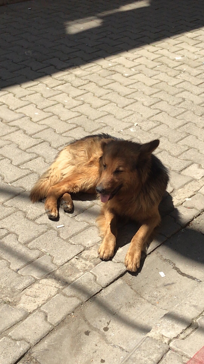 Galerinizdeki son fotoğraf ne?