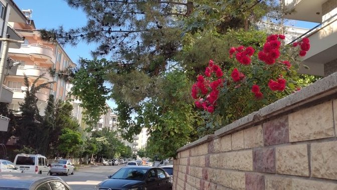 Güne güzel başlamak için neler yaparsınız?