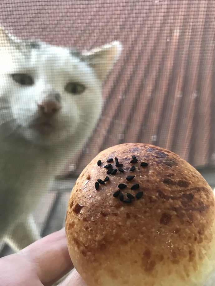 Evcil dostunu paylaşır mısın?