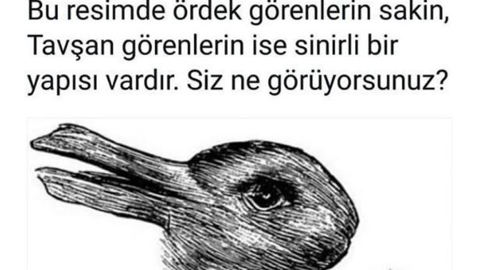 Peki, siz bu resimde ne görüyorsunuz?