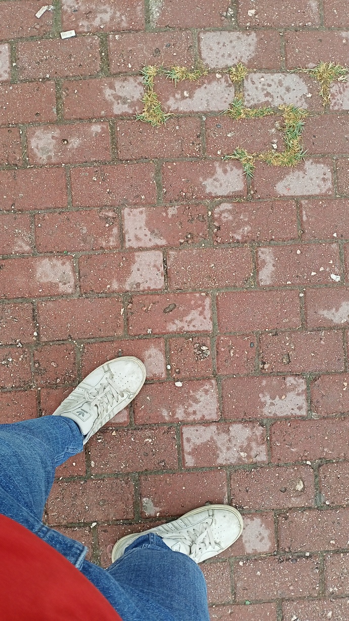 Düzenli olarak yürüyüş yapıyor musunuz?