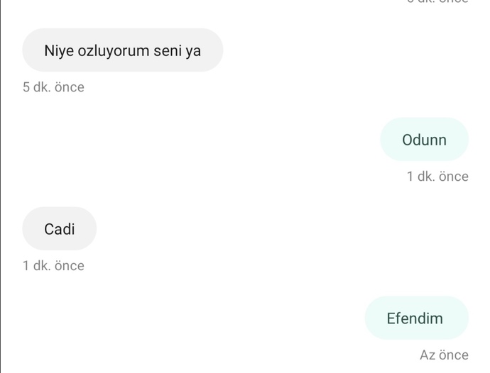 Aldığınız son mesajda ne yazıyordu?