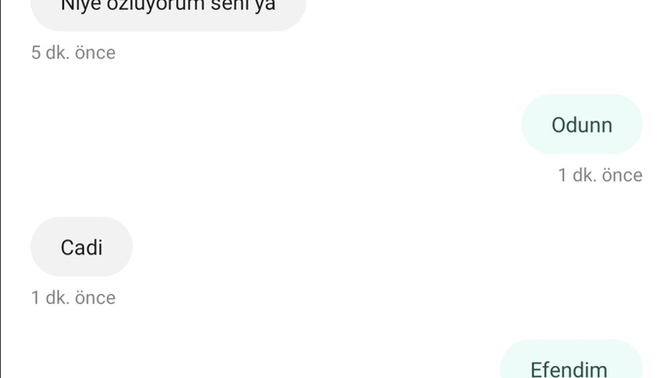 Aldığınız son mesajda ne yazıyordu?