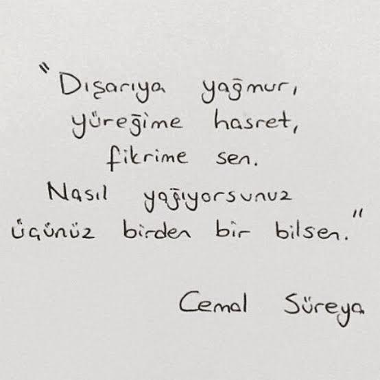 Şiir sever misiniz, sevdiğiniz dörtlükler var mı?