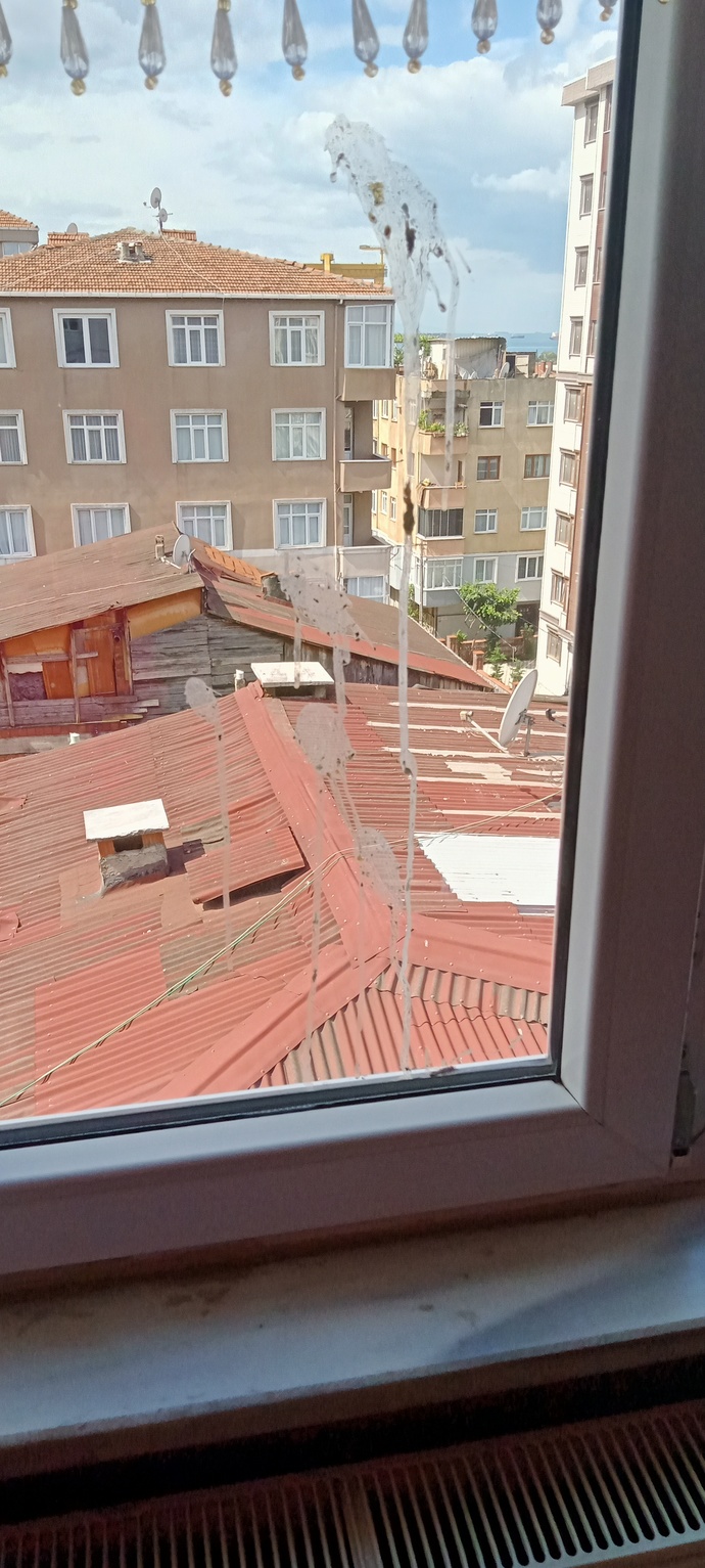 Kuş pisliği uğuruna inanır mısınız?