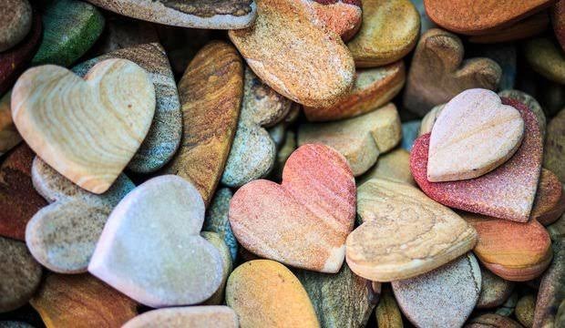 Saygı ve hoşgörü arasındaki fark nedir?