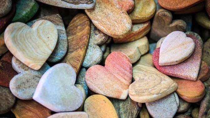 Saygı ve hoşgörü arasındaki fark nedir?
