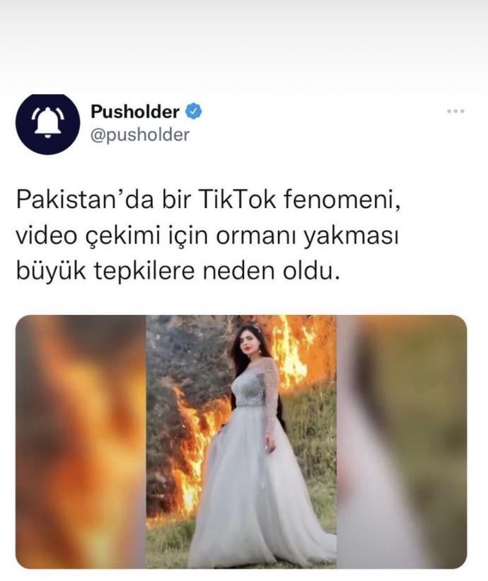 TikTok kullanıcılarının zekalarıyla ilgili fikriniz nedir?