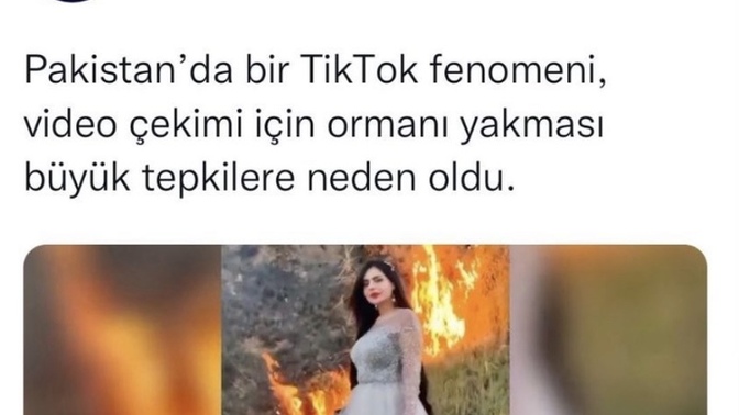 TikTok kullanıcılarının zekalarıyla ilgili fikriniz nedir?