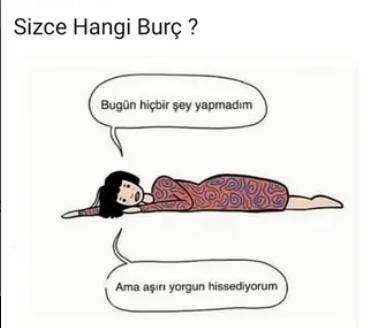 Bunu hangi burcun insanı demiştir?