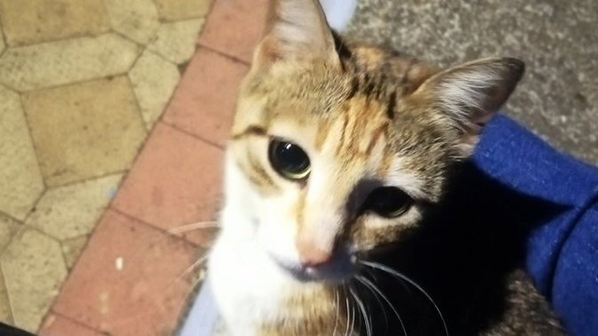 Geceniz nasıl geçiyor?