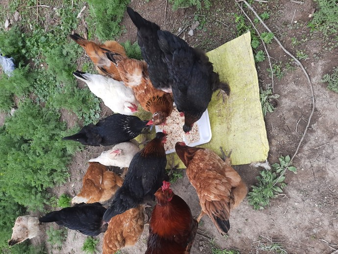Galerinizdeki son fotoğrafı dövme yaptırsanız bu ne dövmesi olurdu?