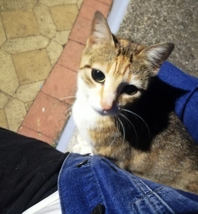 Galerinizdeki son fotoğrafı dövme yaptırsanız bu ne dövmesi olurdu?
