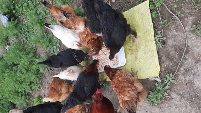 Galerinizdeki son fotoğrafı dövme yaptırsanız bu ne dövmesi olurdu?