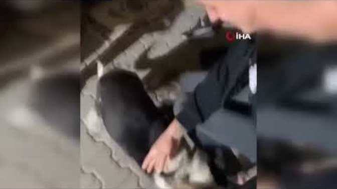 Bu insanlık nereye gidiyor vallaha anlam veremiyorum?