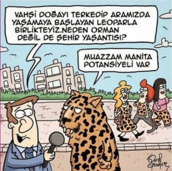 Leopar desenli kıyafetler sizce abartılı duruyor mu?