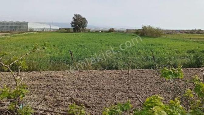 Eskiden hayat şimdiye nazaran daha mı kolaydı?