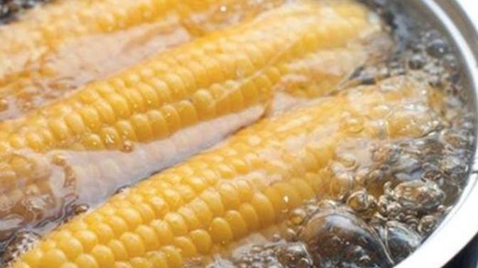 Mısırın en sevdiğiniz hali haşlanmış mı yoksa közlenmiş mi?