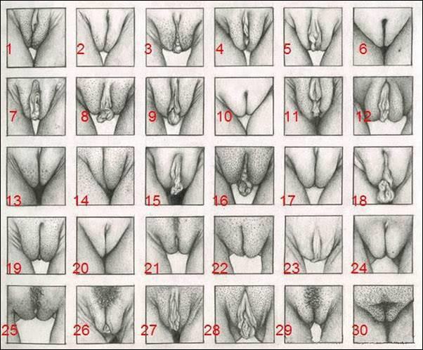 Fazla mastübasyondan dolayı deforme olmuş vajina mastübasyon yapılmadığı sürece kendini toparlar mı?