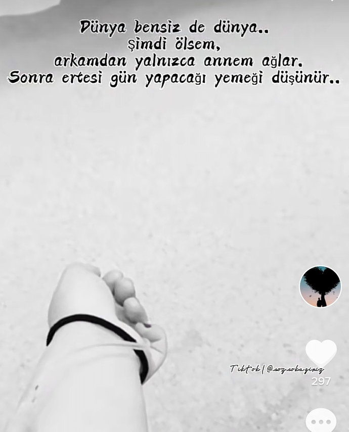 Bu dünyadan göçüp gitseniz arkanızdan kim ağlar?