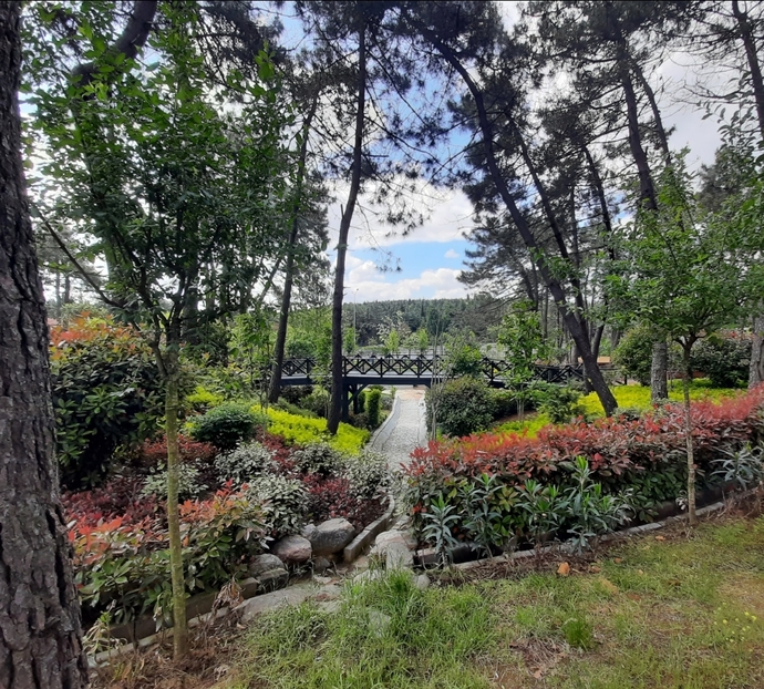 Bu gün izni olanlar gitsin🙂🖐️