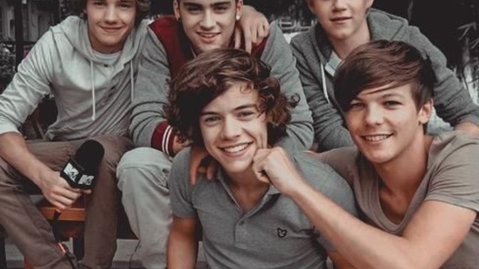 One Direction grup üyelerinden hangisini beğenirdiniz/beğeniyorsunuz?