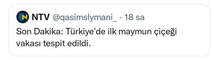 Maymun çiçeği salgını?