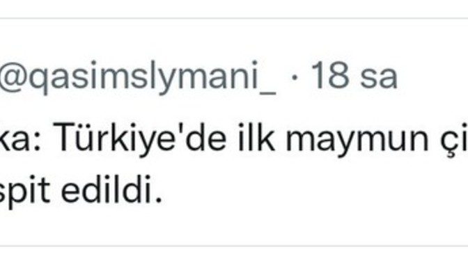 Maymun çiçeği salgını?