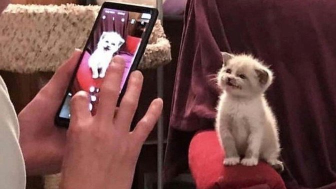 Küçük şeylerden keyif alabilmeyi başabiliyor musunuz?