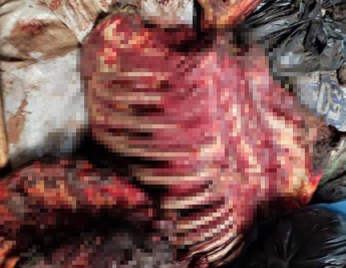 İzmirde çürümüş 3 ton at eti ele geçirildi, Sanıklara 3 bin lira ceza verildi! İnsan hayatı bu kadar ucuz mu?