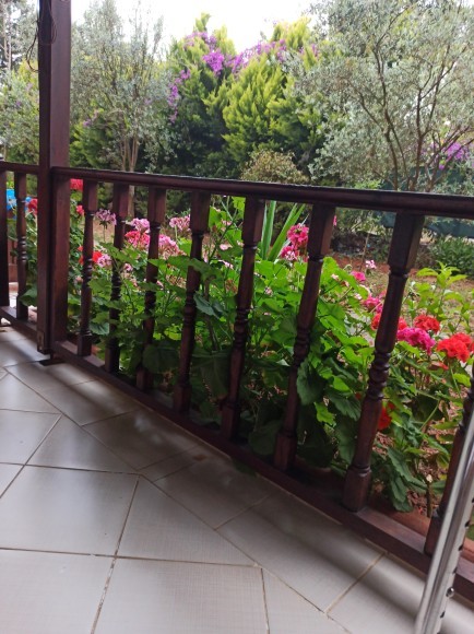 Her şey dahil bir haftalık otel tatili mi yoksa bir haftalık gemi tatili mi tercihiniz olur?