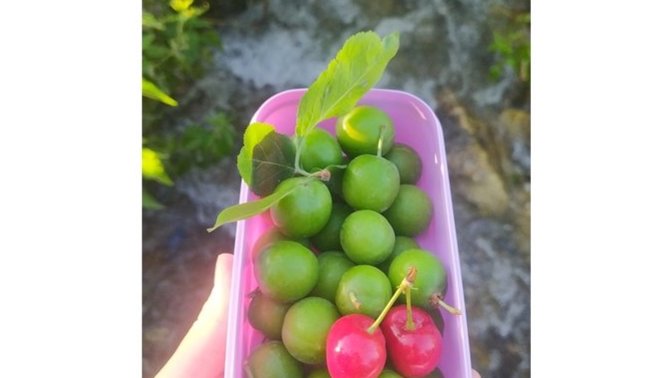 Siz neyle mutlu oluyorsunuz? Sizin için terapi olabilecek şey nedir? Bır yürüyüş bir müzik, kitap? Kafanızı neyle dağıtırsınız?