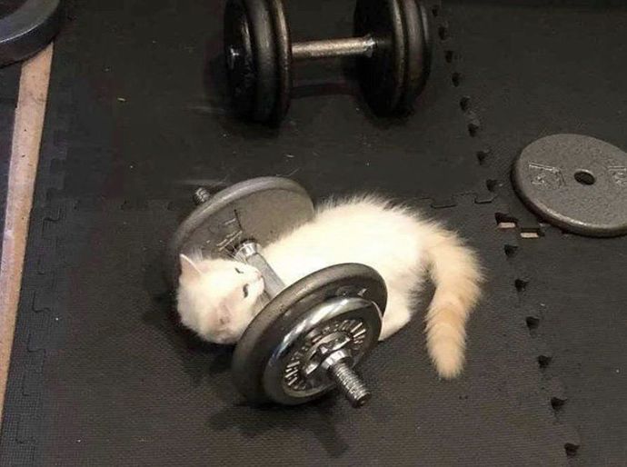 Spor yaparken dikkatinizi neler dağıtır?