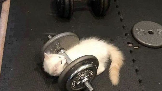 Spor yaparken dikkatinizi neler dağıtır?