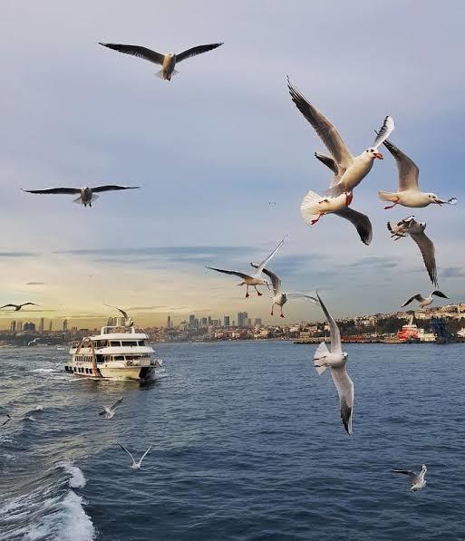 Bu pazar nereye gitmeyi düşündünüz?