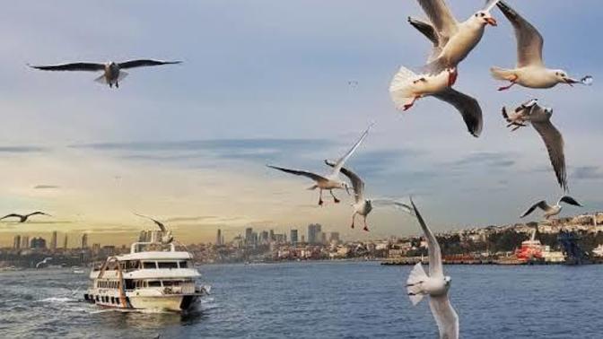Bu pazar nereye gitmeyi düşündünüz?