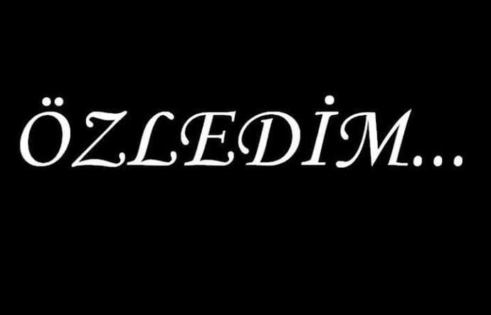 Sevdiğinizden gelen Özledim kelimesi size en fazla ne yaptırabilir?
