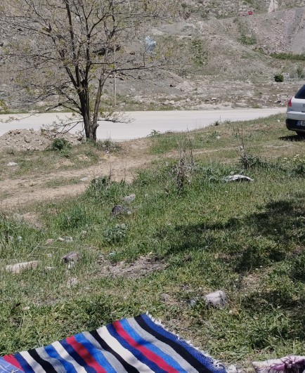Pazar günü neler yapıyorsunuz?