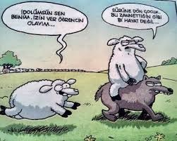 Başkalarının yaşadığı hayata imrendiğiniz oluyor mu?