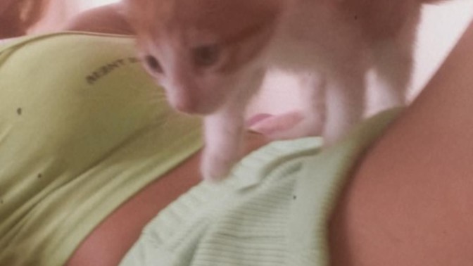 Kedim asla yerinde durmuyor napicam?