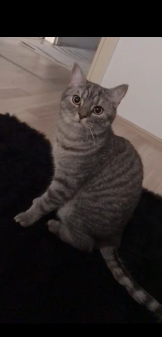 Bu çocuk niye bu kadar yakışıklı?
