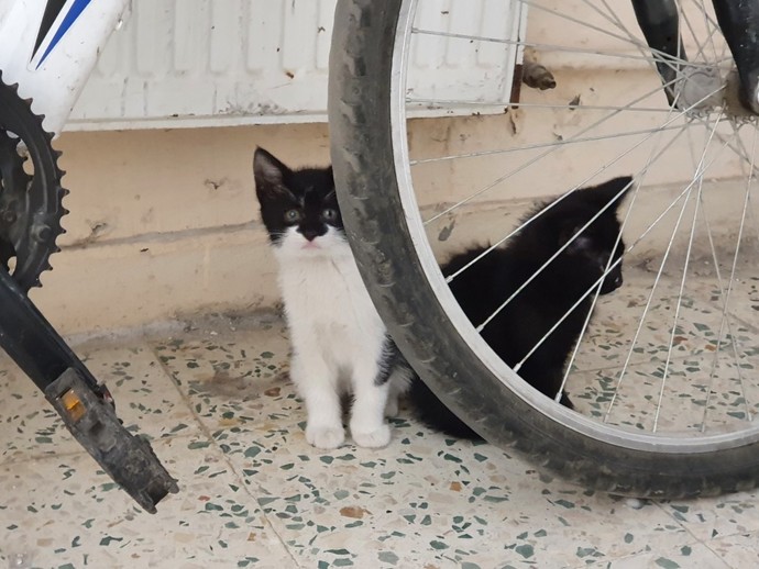 Bu çocuk niye bu kadar yakışıklı?