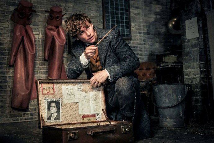 Fantastik Canavarlar Newt Scamander Bavulu sizde olsaydı, içine Dünyadaki hangi hayvanı koyardınız?