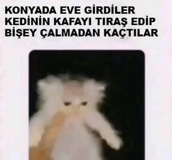 Seni güldüren son şey neydi?