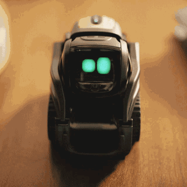 Vector akıllı robot hakkında ne düşünüyorsunuz, siz de ister miydiniz?