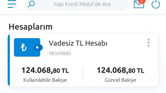 Birikim yapabiliyor musunuz?