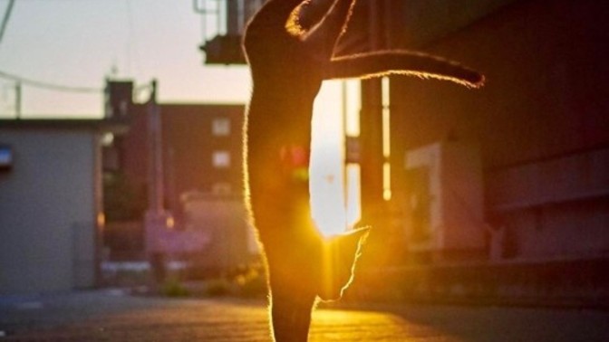 Hiç sadece zaman öldürmek için spor yaptınız mı?