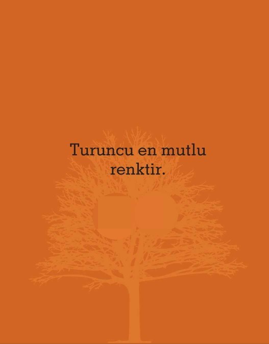 Senin sevdiğin renk hangisi?