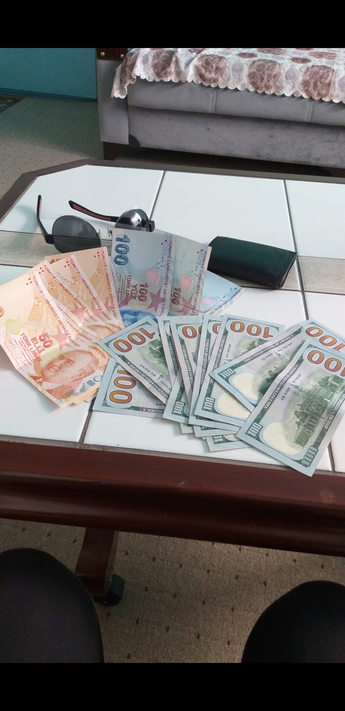 Dolar mı, TL mi?