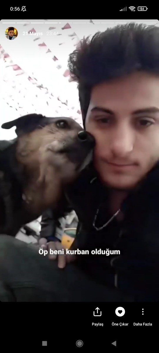 Evcil hayvanları sever misiniz? Evcil hayvanınız var mı?